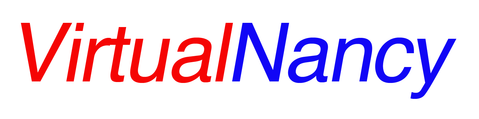 VN logo